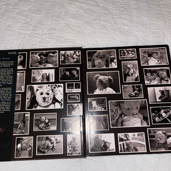 Teddy’s World Hardcover Book - Picture 4 of 8
